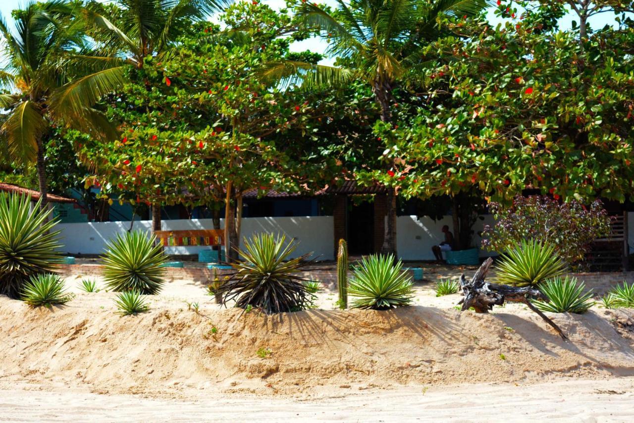Hostel America Do Sul Jijoca de Jericoacoara Ngoại thất bức ảnh